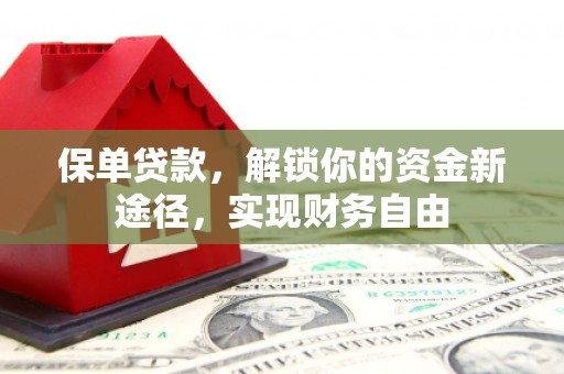 海陵保单贷款，解锁你的资金新途径，实现财务自由