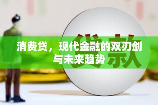 海陵消费贷，现代金融的双刃剑与未来趋势