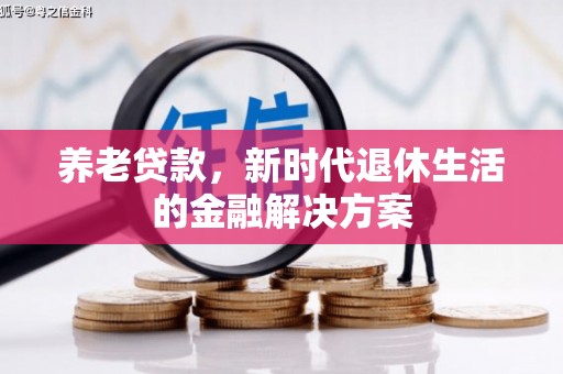 海陵养老贷款，新时代退休生活的金融解决方案