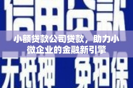 海陵小额贷款公司贷款，助力小微企业的金融新引擎