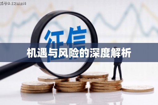 海陵机遇与风险的深度解析
