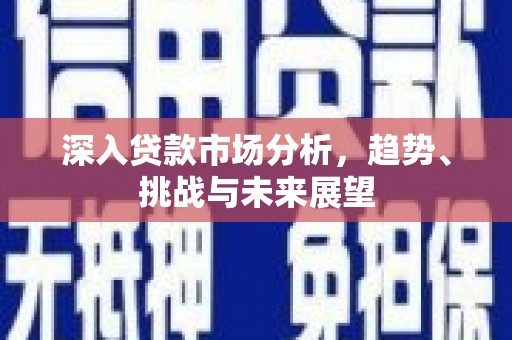 海陵深入贷款市场分析，趋势、挑战与未来展望
