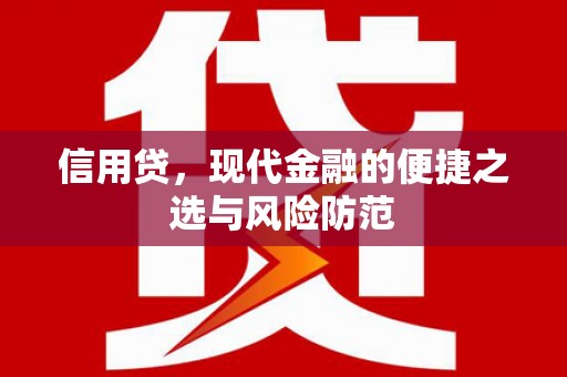 海陵信用贷，现代金融的便捷之选与风险防范