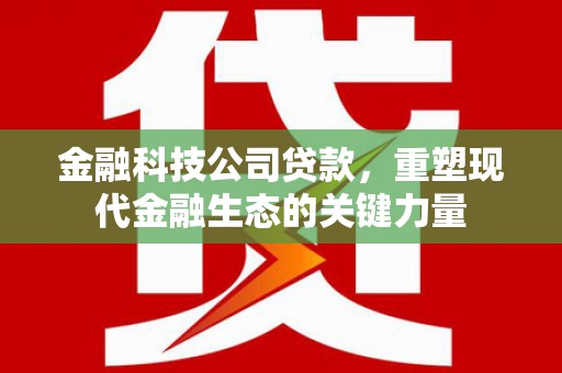 海陵金融科技公司贷款，重塑现代金融生态的关键力量