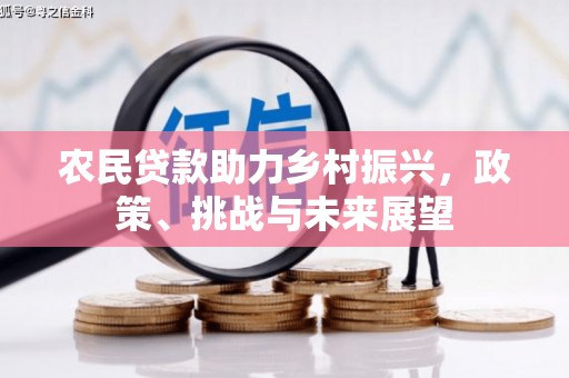 海陵农民贷款助力乡村振兴，政策、挑战与未来展望