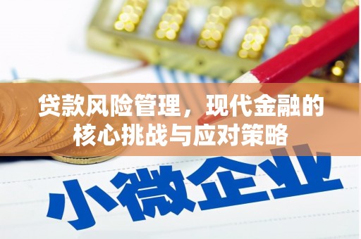 海陵贷款风险管理，现代金融的核心挑战与应对策略