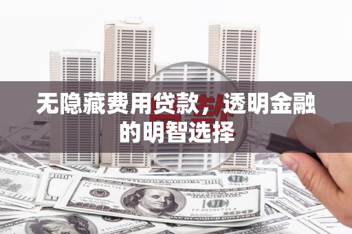 海陵无隐藏费用贷款，透明金融的明智选择