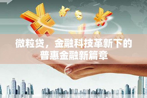 海陵微粒贷，金融科技革新下的普惠金融新篇章