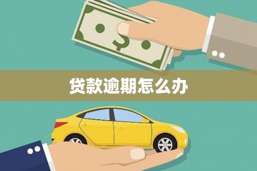 海陵贷款逾期怎么办