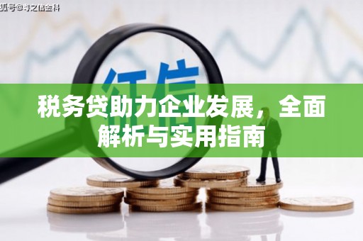 海陵税务贷助力企业发展，全面解析与实用指南