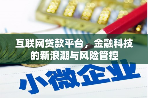 海陵互联网贷款平台，金融科技的新浪潮与风险管控