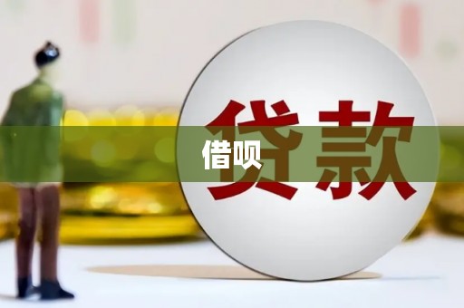 海陵借呗