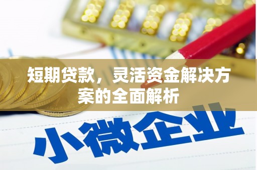 海陵短期贷款，灵活资金解决方案的全面解析