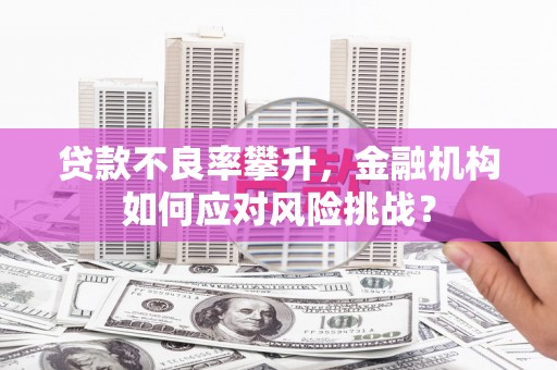 海陵贷款不良率攀升，金融机构如何应对风险挑战？