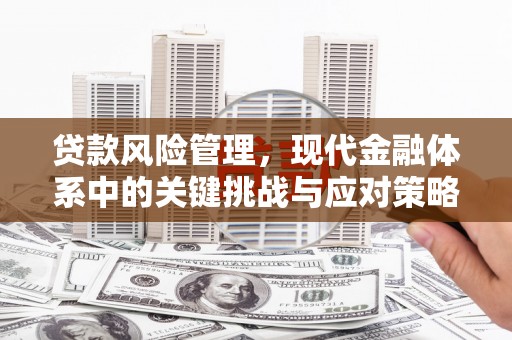 海陵贷款风险管理，现代金融体系中的关键挑战与应对策略
