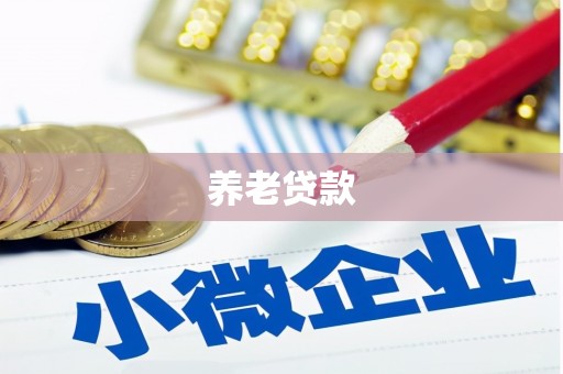 海陵养老贷款
