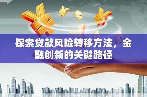 海陵探索贷款风险转移方法，金融创新的关键路径