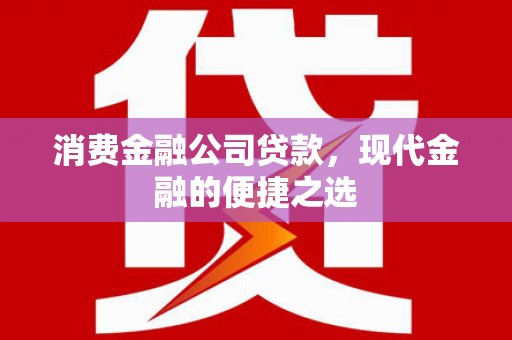 海陵消费金融公司贷款，现代金融的便捷之选