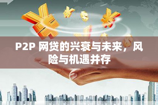 海陵P2P 网贷的兴衰与未来，风险与机遇并存
