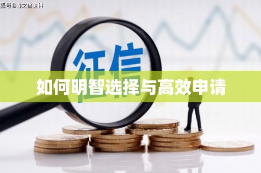 海陵如何明智选择与高效申请