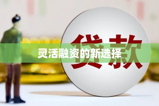 海陵灵活融资的新选择