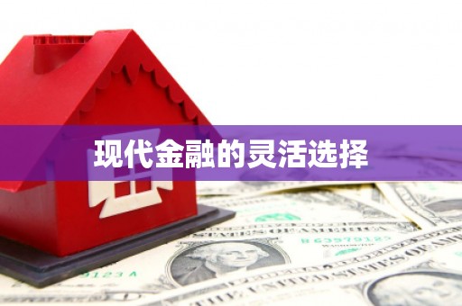 海陵现代金融的灵活选择