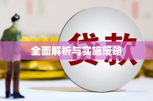 海陵全面解析与实施策略